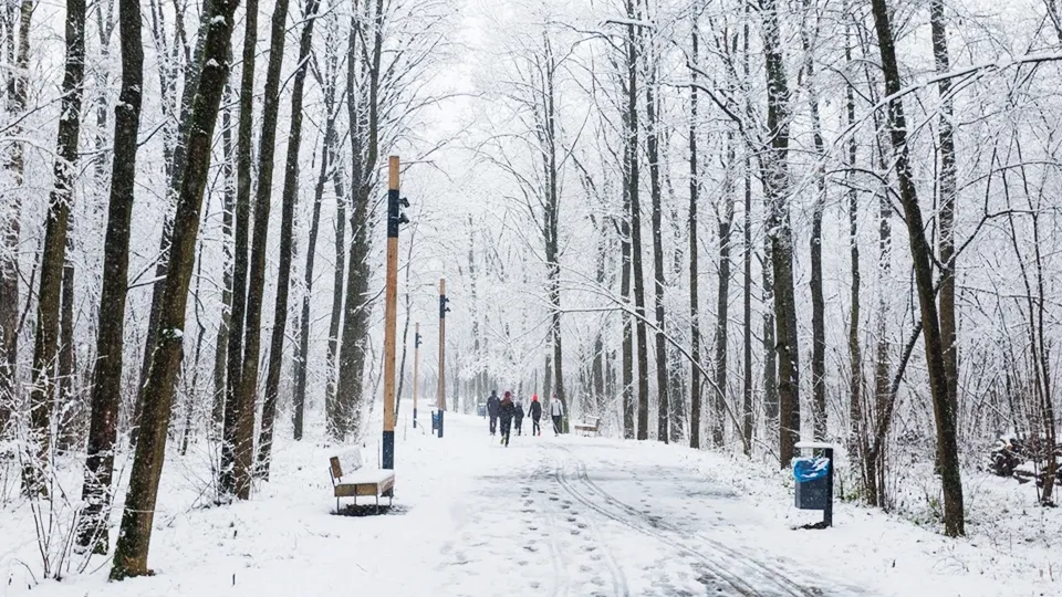 Фото: медиасток.рф