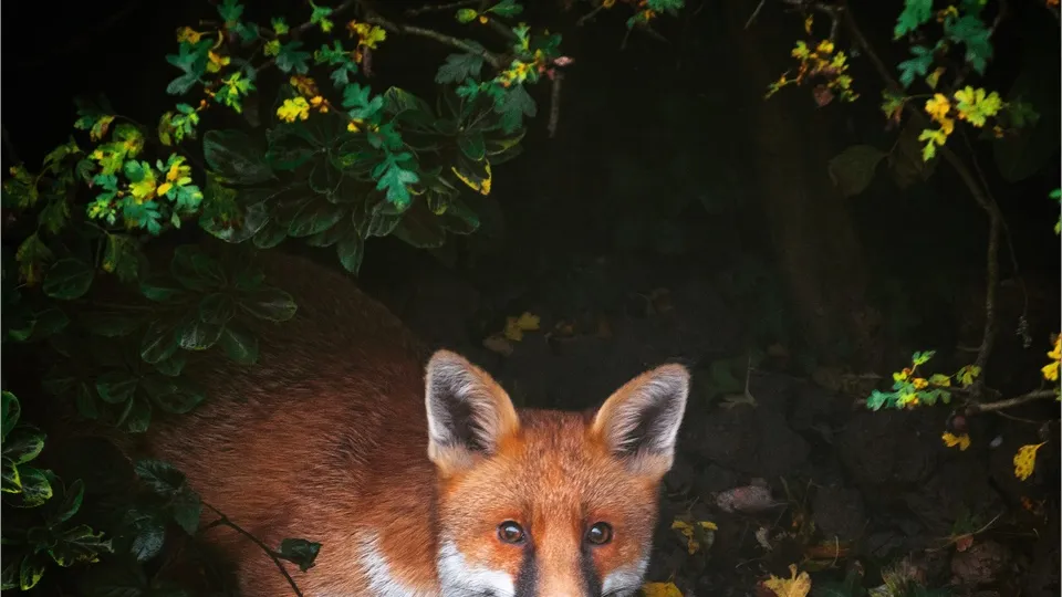 Фото: freepik.com