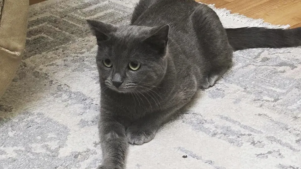 Фото: из архива Юлии Дьячковой