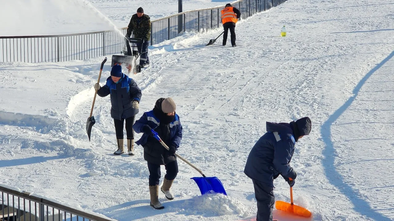 МедиаБанк Подмосковья/Дмитрий Алексеенко