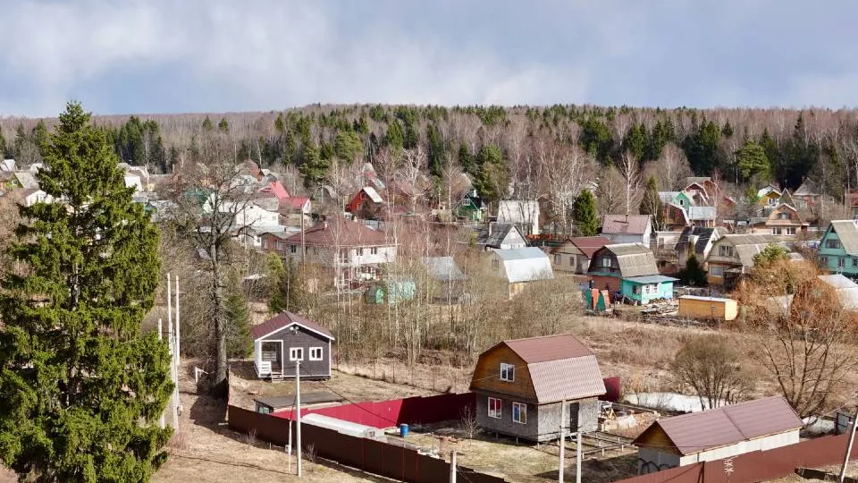Фото: МедиаБанк Подмосковья/Дарья Леонова