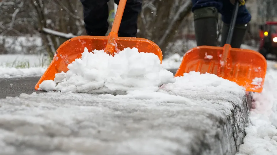 Фото: МедиаБанк Подмосковья/Иван Чижов