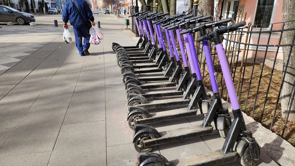 Фото: Медиаархив Подмосковья