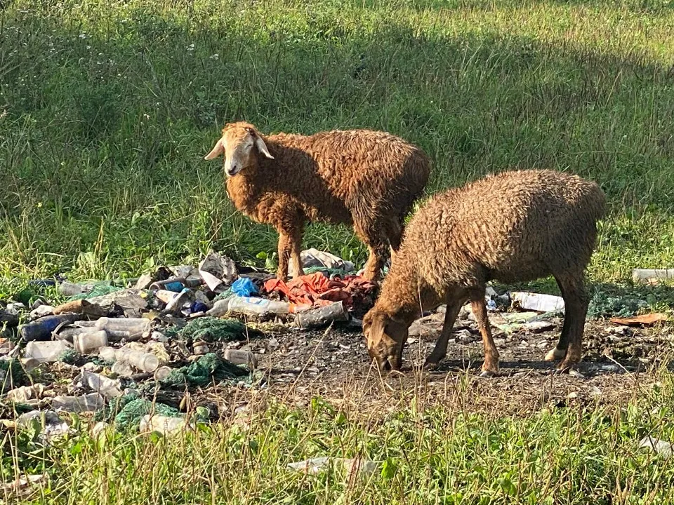 Фото: из архива местных жителей&nbsp;