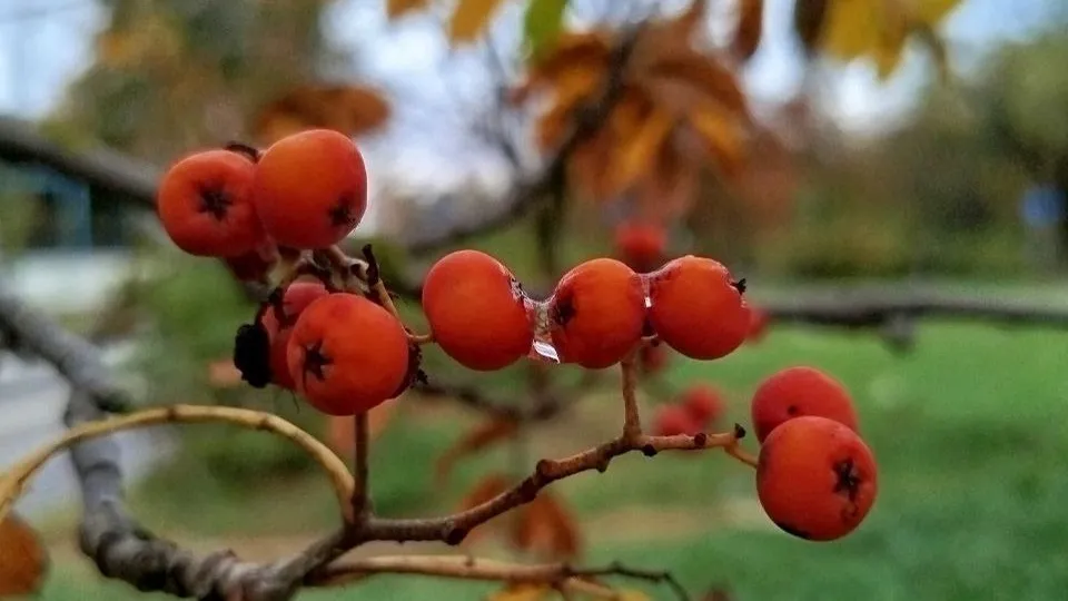 Фото: REGIONS/Наталья Дорофеева