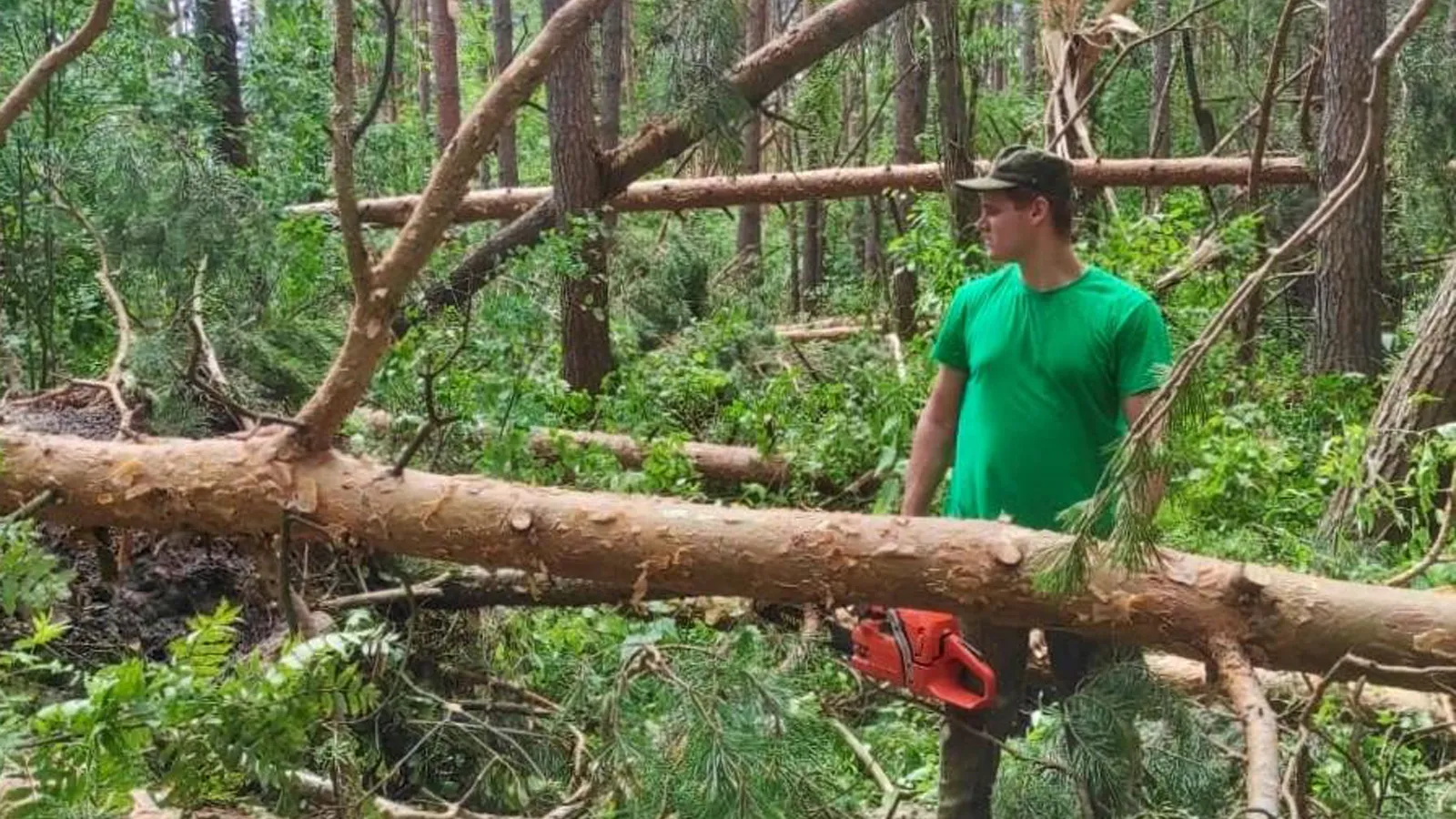 Фото: Комлесхоз МО