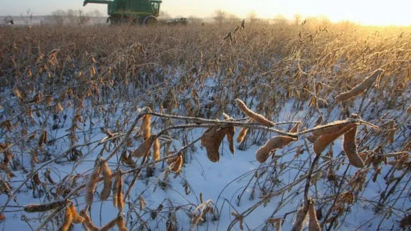 Уже 65 тыс га подмосковных сельхозземель ввели в оборот в этом году