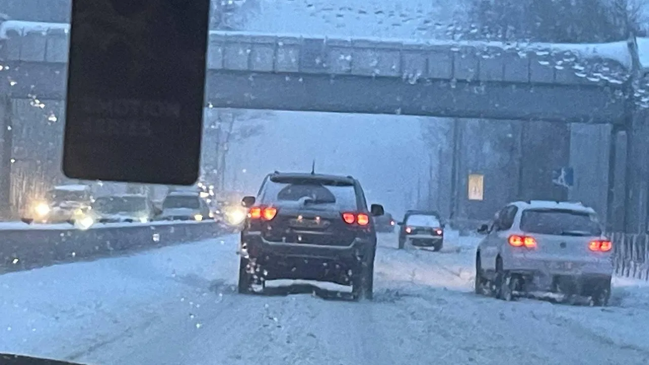 Фото: соцсети