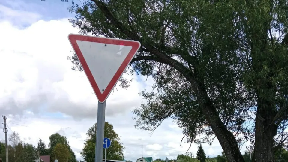 Фото: пресс-служба администрации м.о. Лотошино