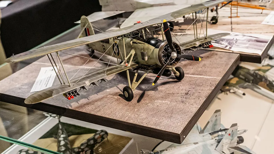 Фото: Антон Селянин