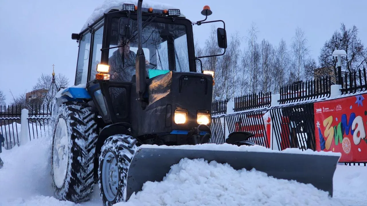 REGIONS/Мария Шигорева