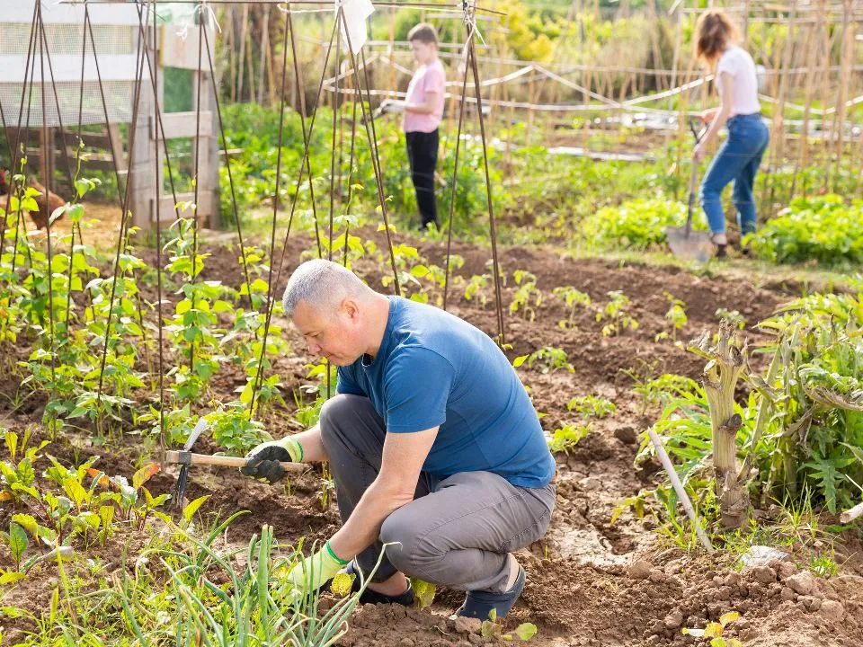Фото: istockphoto.com