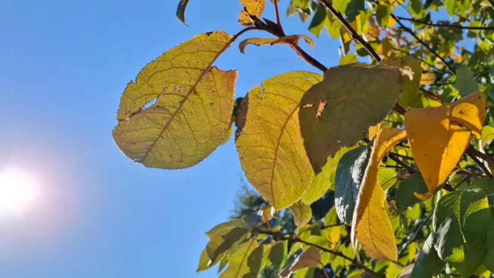 Фото: REGIONS/Юлия Габбасова