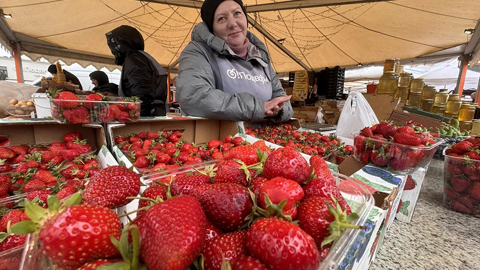 Фото: REGIONS/Мария Шматкова