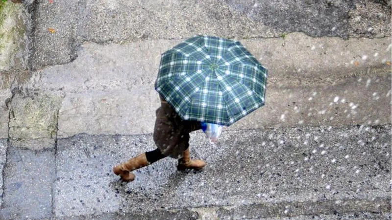 Robert Wallace / flickr