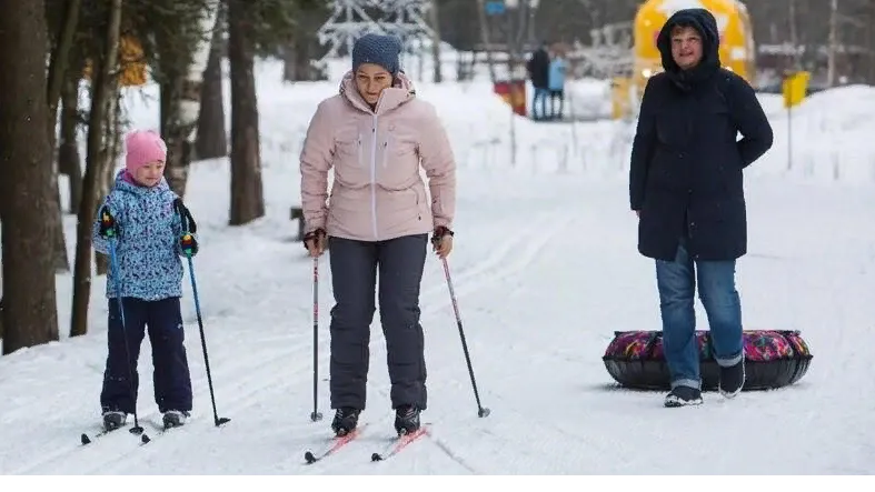 Фото: Пресс-служба Министерства благоустройства Московской области