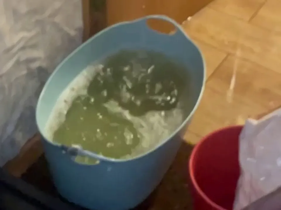 Фото: t.me/odintsovo_info