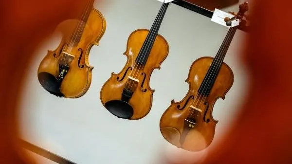 Алексей Даничев / РИА Новости
