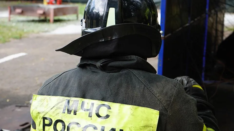 Фото: REGIONS/Анна Быкова