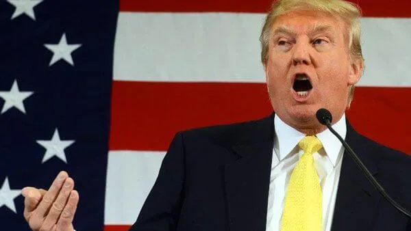 «Ослу ясно»: на Украине поддержали план Трампа в отношении Зеленского