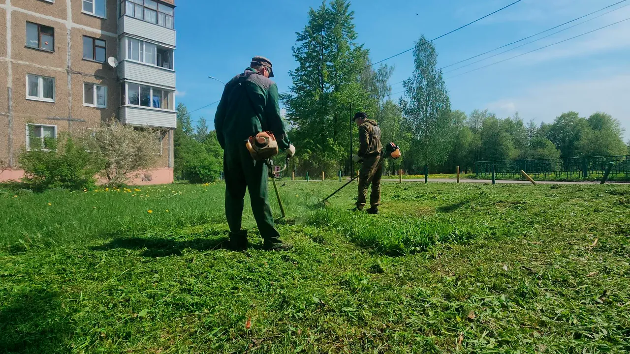 Картинка