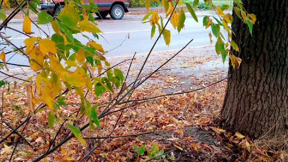 Фото: пресс-служба администрации городского округа Воскресенск