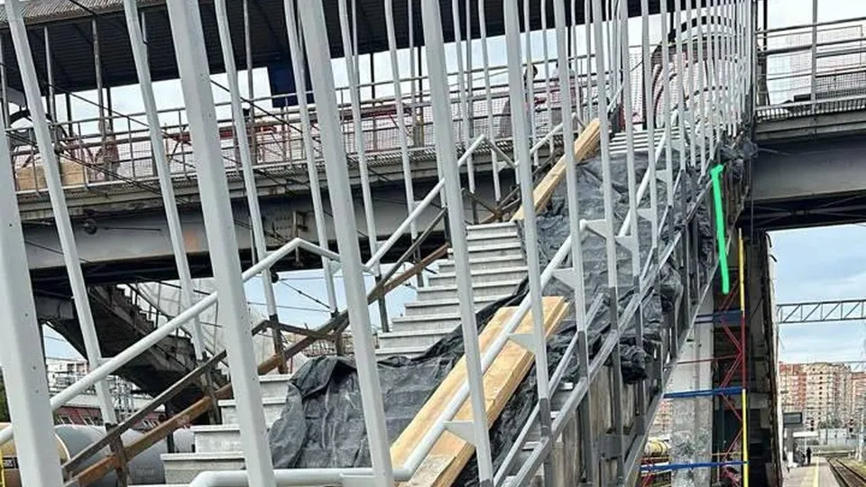 Фото: пресс-служба администрации г.о. Лобня