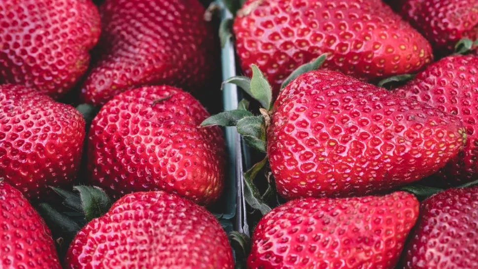 Фото: pxhere.com