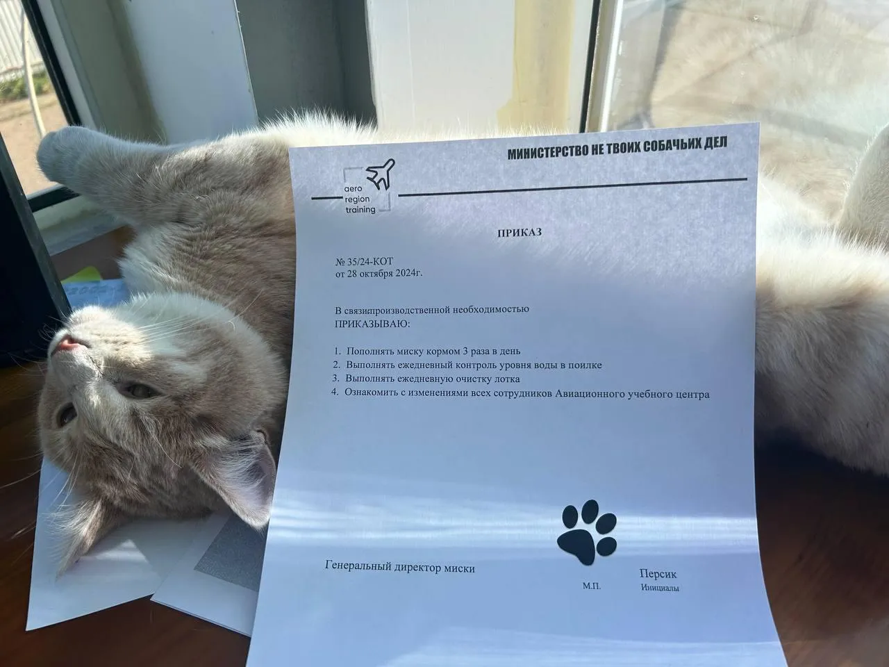 Фото: Медиабанк Подмосковья/Ольга Стаферова