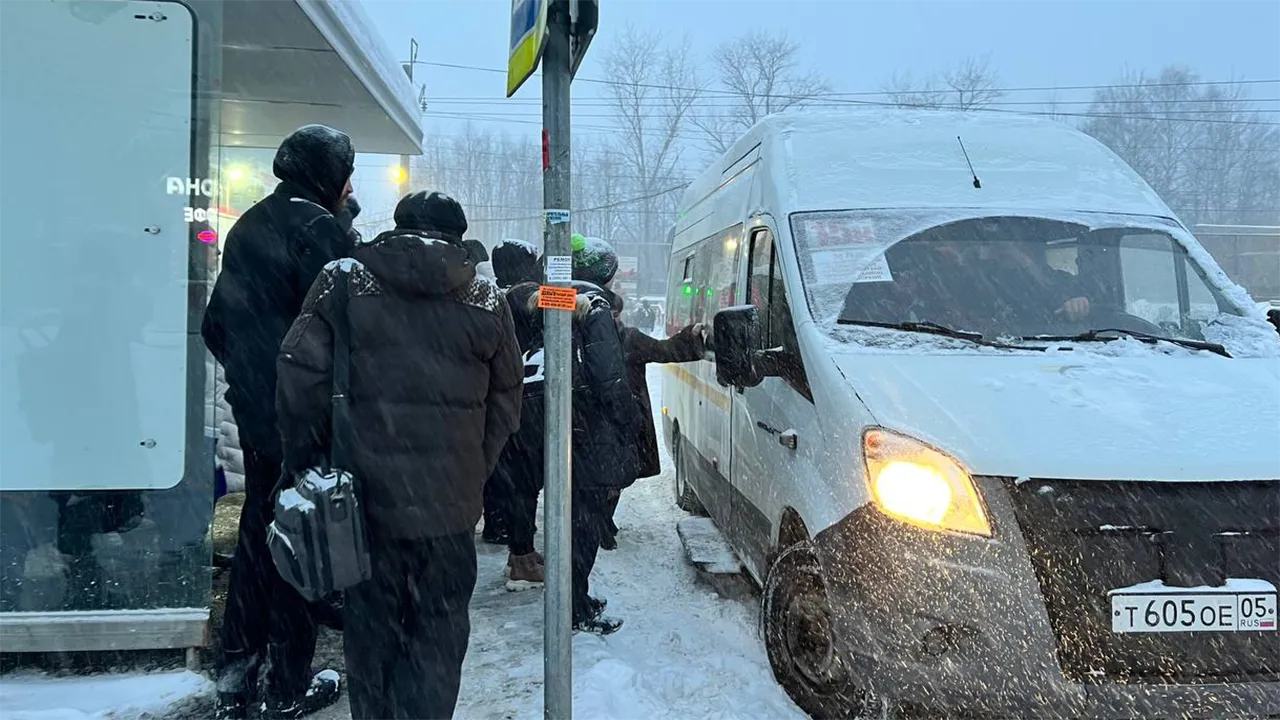 Елена Фурман