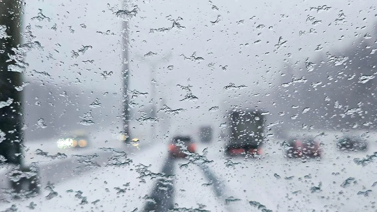 REGIONS/Роман Малышенко