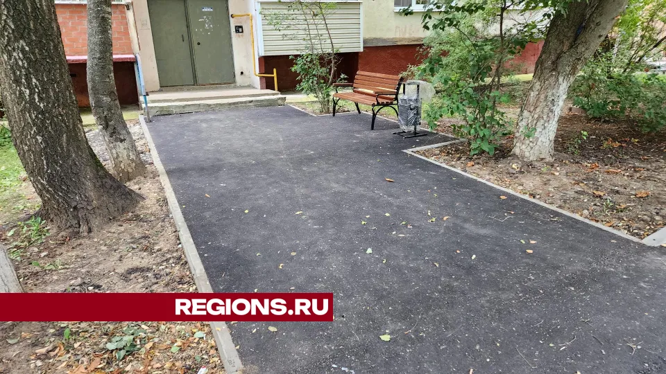 Фото: Дмитрий Алексеенко