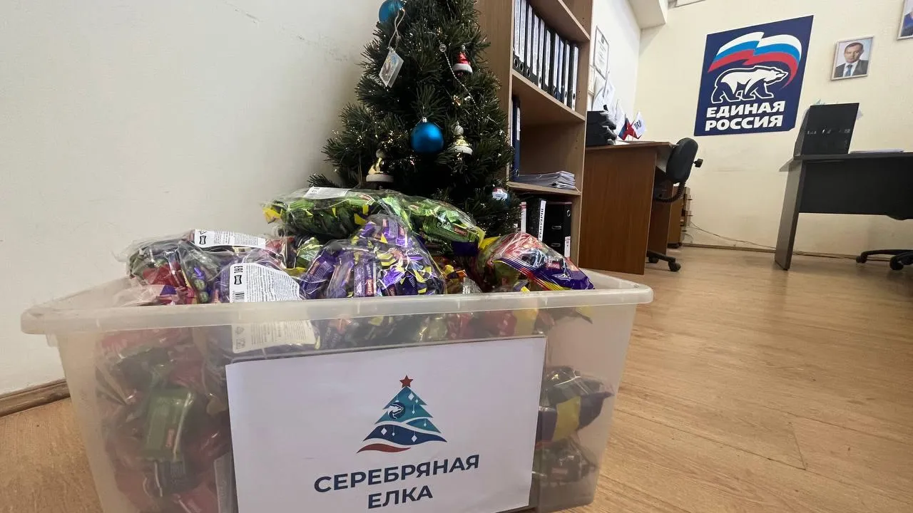 Фото: МОП "Единая Россия"