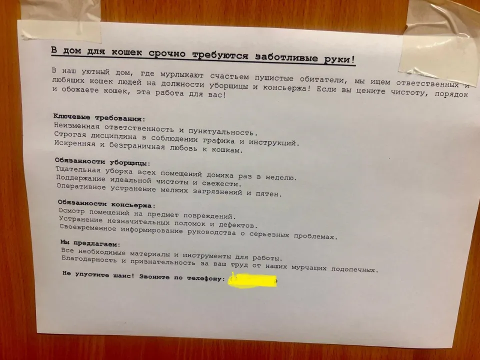 Фото: REGIONS/Олег Нечаев