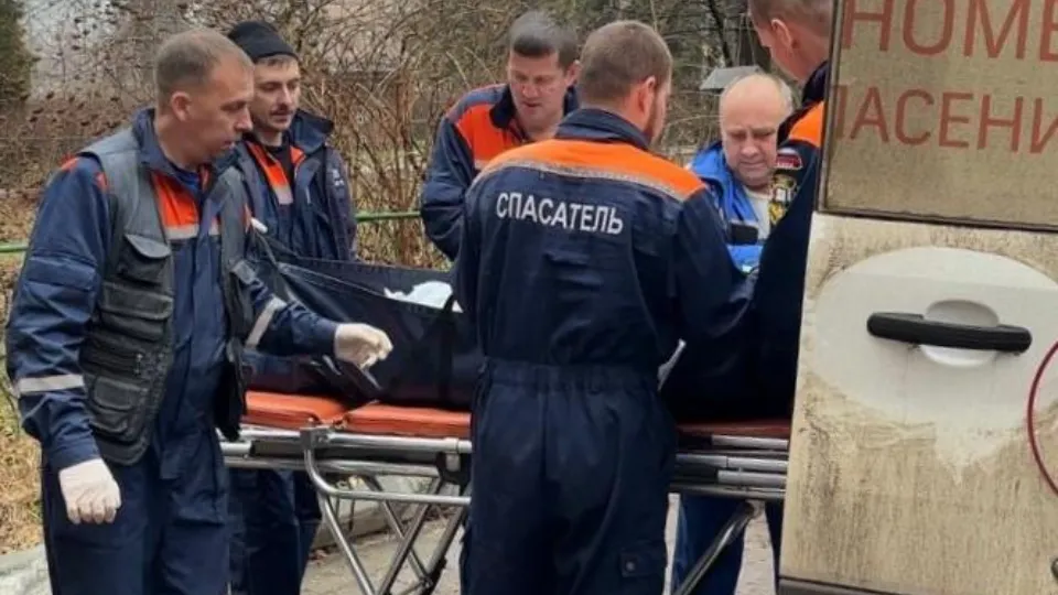 Фото: ГКУ МО «Мособлпожспас»