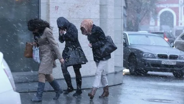 «Желтый» уровень опасности объявили в столичном регионе из-за ветра