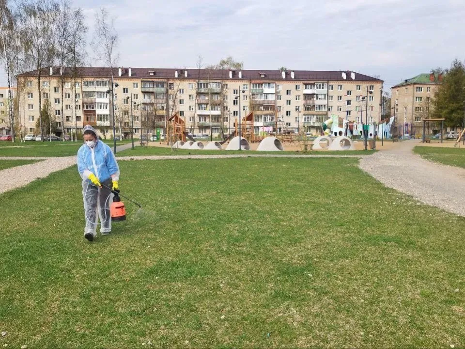 Фото: t.me/park_pokrovskiy