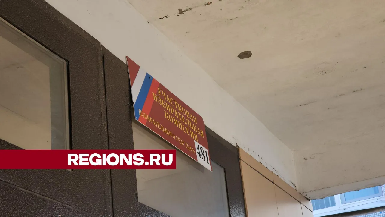 фото: Арина Кузнецова