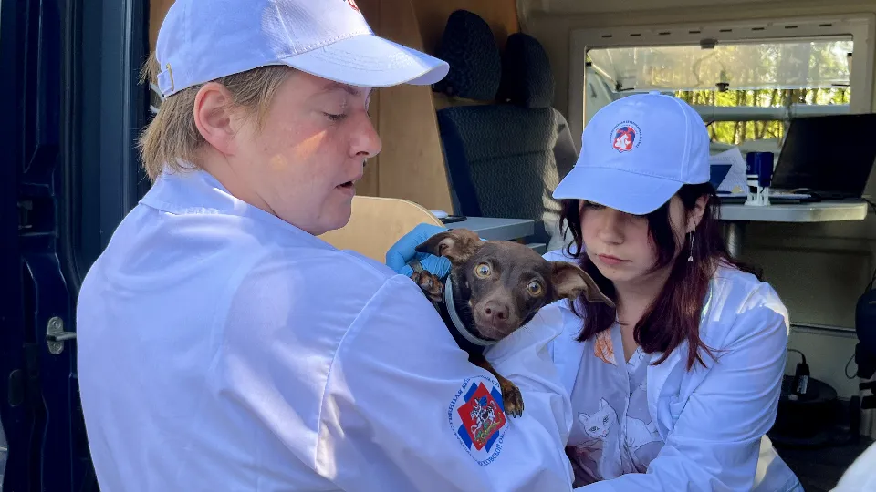 Фото: МедиаБанк Подмосковья/Анна Тюрюмина