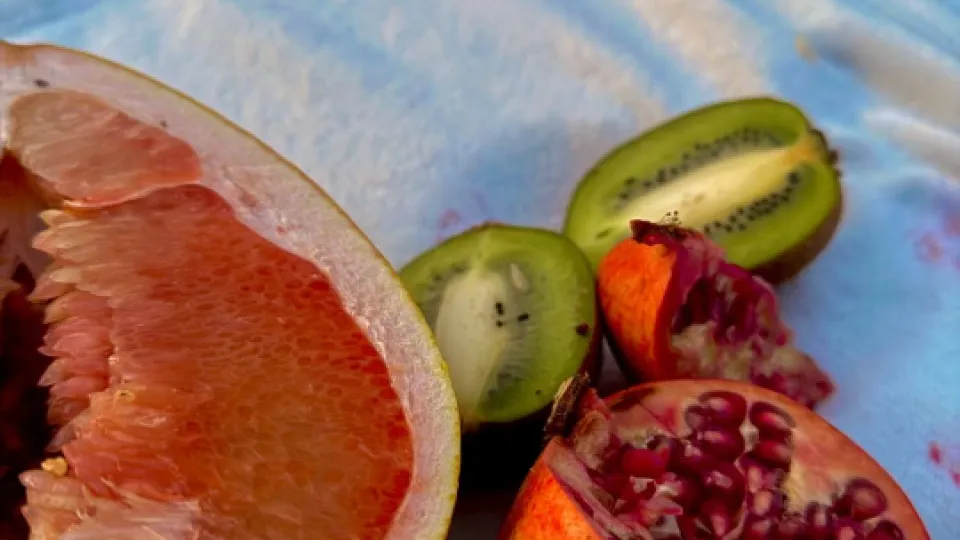 Фото: REGIONS/Дарья Кудинова