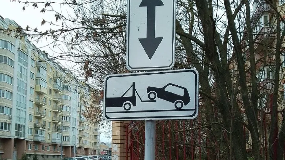 Фото: администрация Одинцовского городского округа
