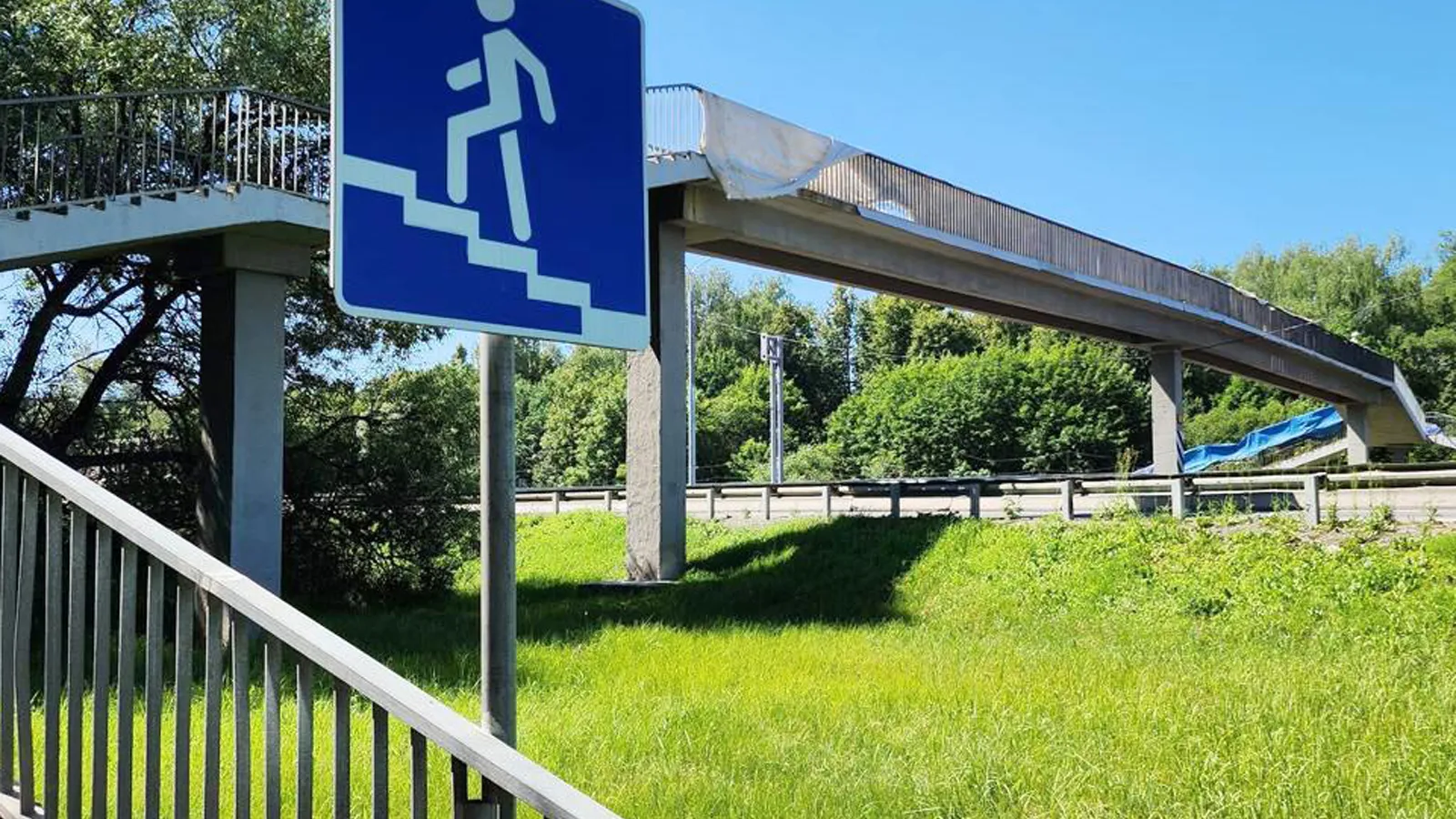 Фото: Андрей Семибратов