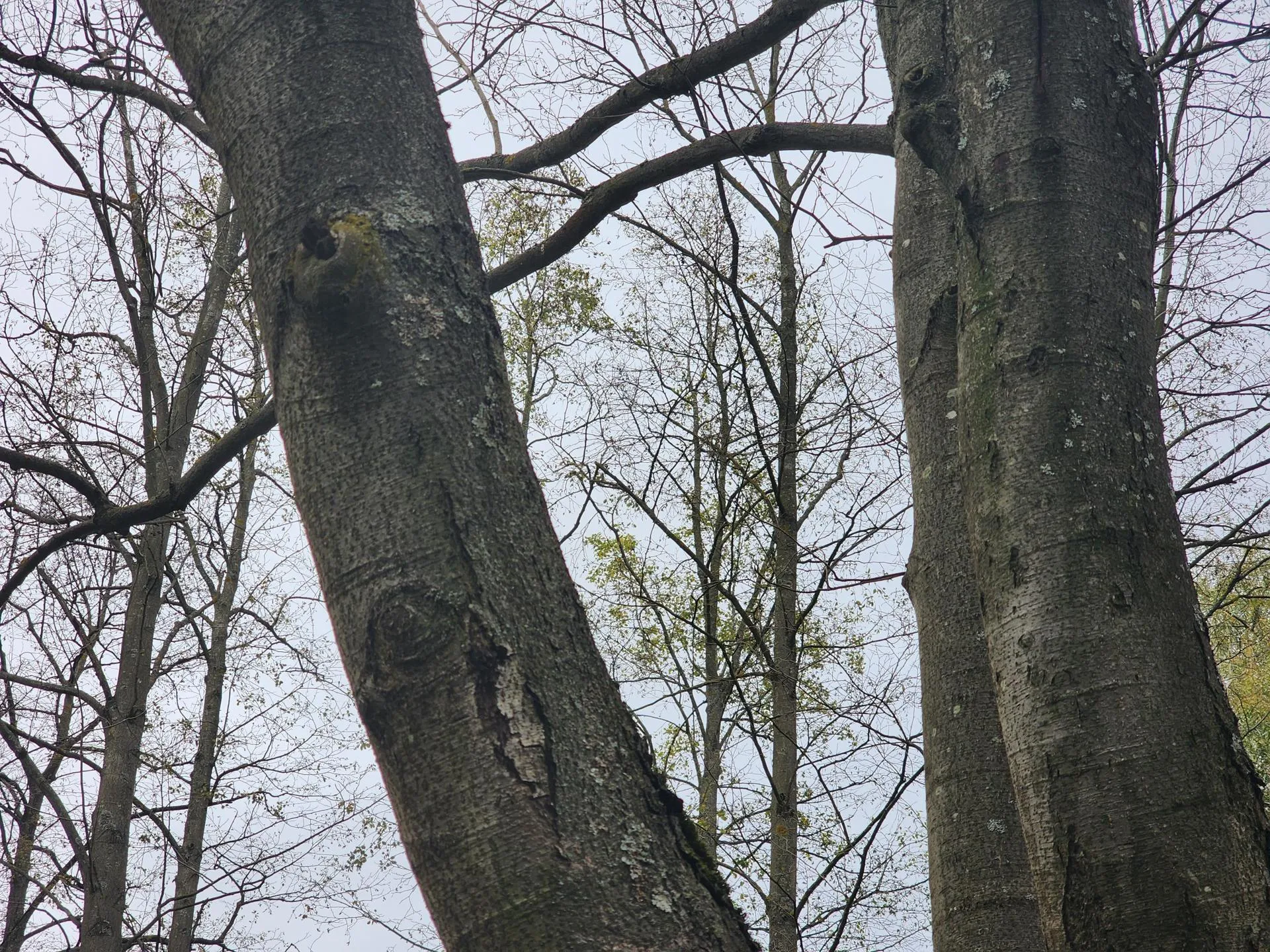 Фото: Роман Савельев