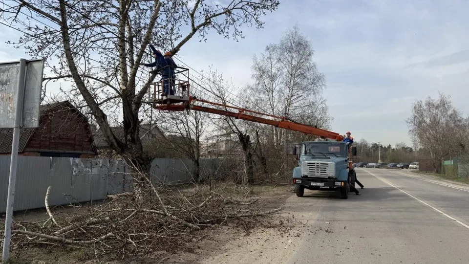 Фото: АО «Мособлэнерго»