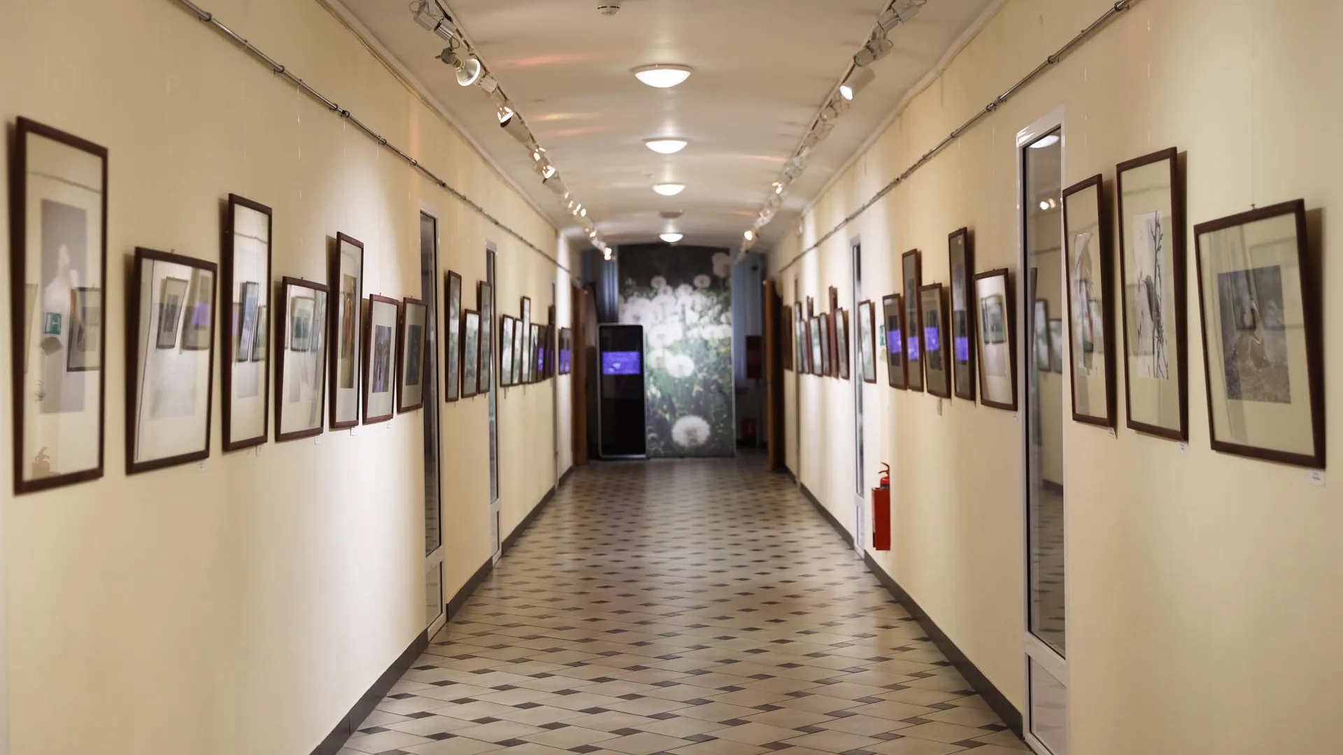 Фото: Раменский медиацентр