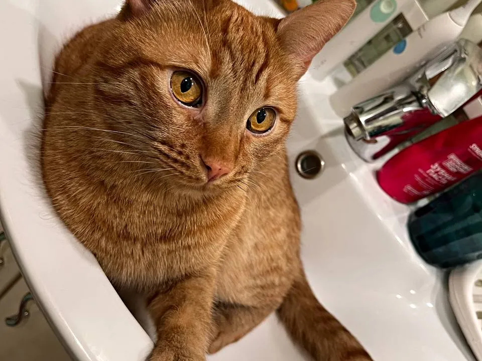 Фото: личный архив Лилии Мурзиной