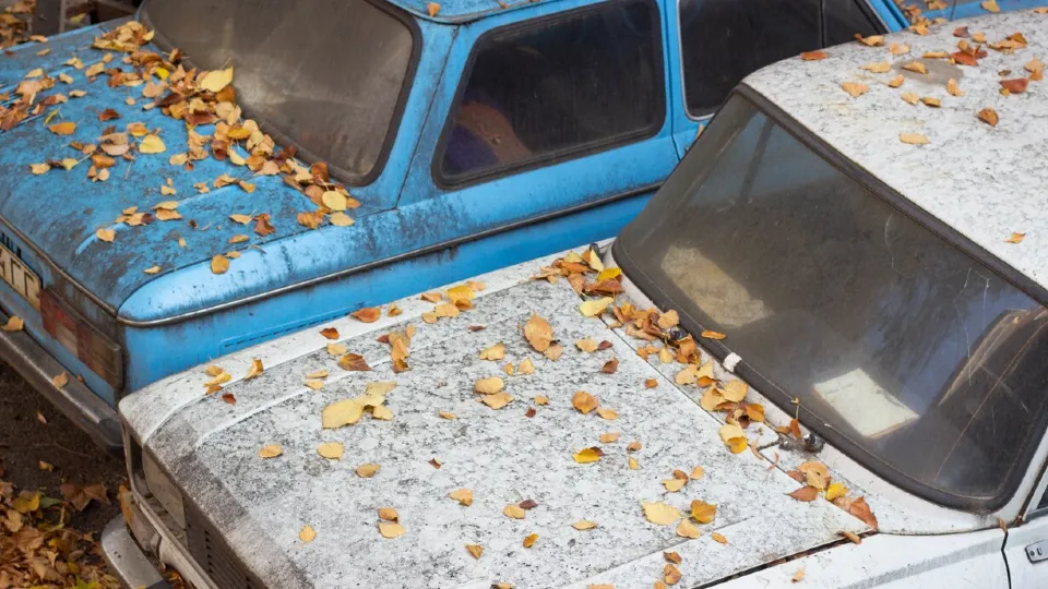 Фото: freepik.com