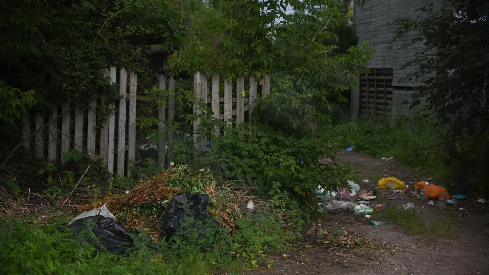 Фото: Ольга Антонова