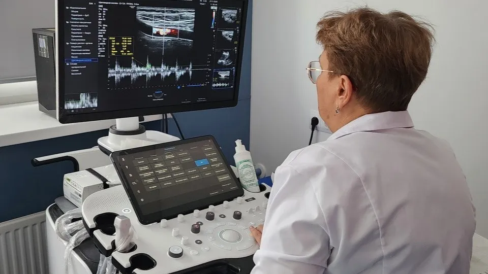 Фото: МедиаБанк Подмосковья/Валентина Максимова