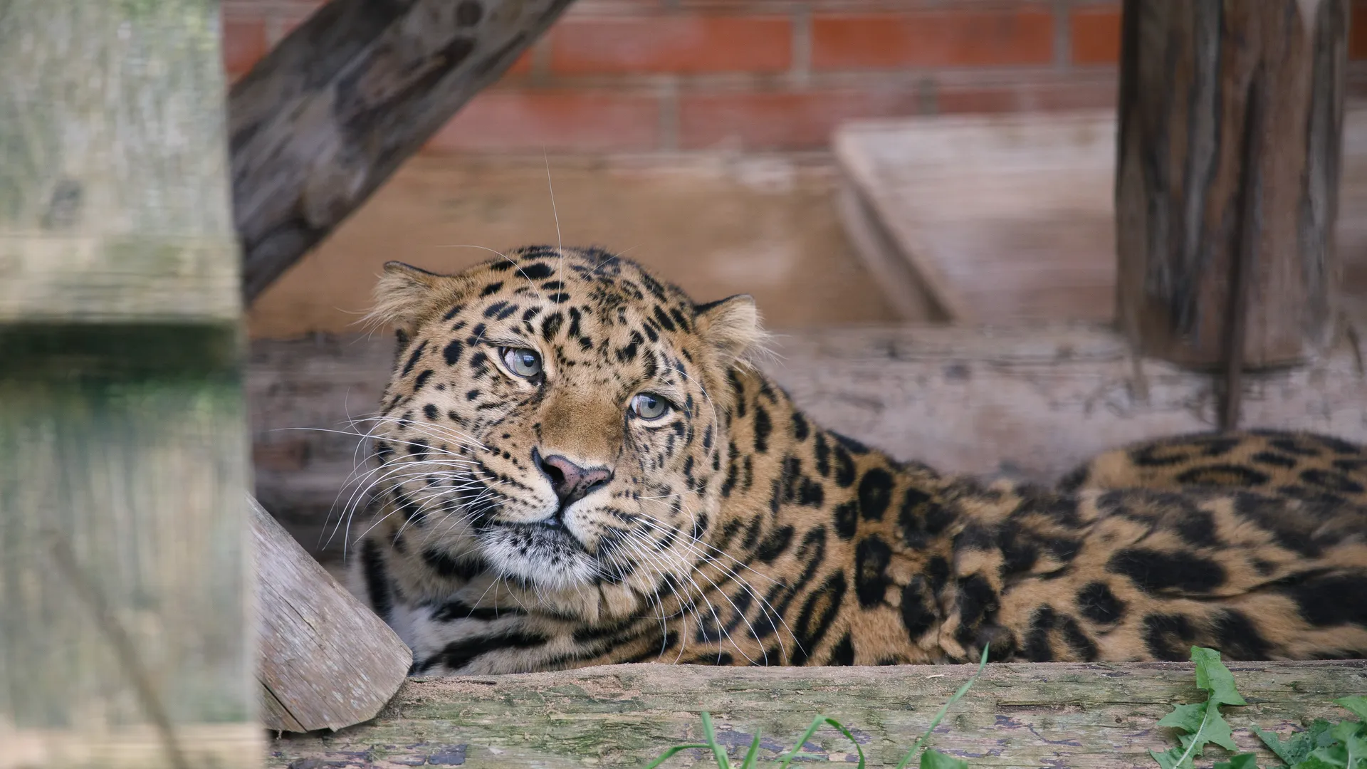 медиасток.рф